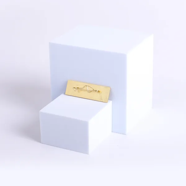 Badge Usher Metal Gold Pin- Swanson Christian Products