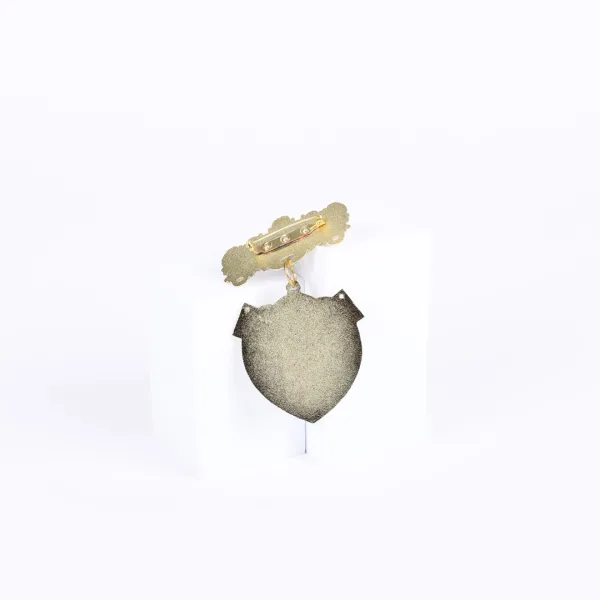 Badge Shield Usher Ethnic Praying Hands Pin- Swanson Christian Products