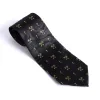 Tie Polyester - Keys To The Kingdom - Swanson Christian Products