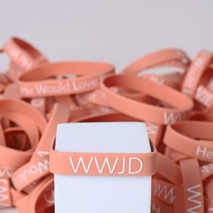 Bracelet Silicone Wwjd He Would Lt Terracotta Pk100