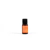 Pure Essential Oil - Orange - 10ml | Swanson Christian Products
