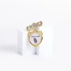 Badge Shield Jr Usher Ethnic Praying Hand Magnet- Swanson Christian Products