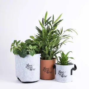 Grow Bags