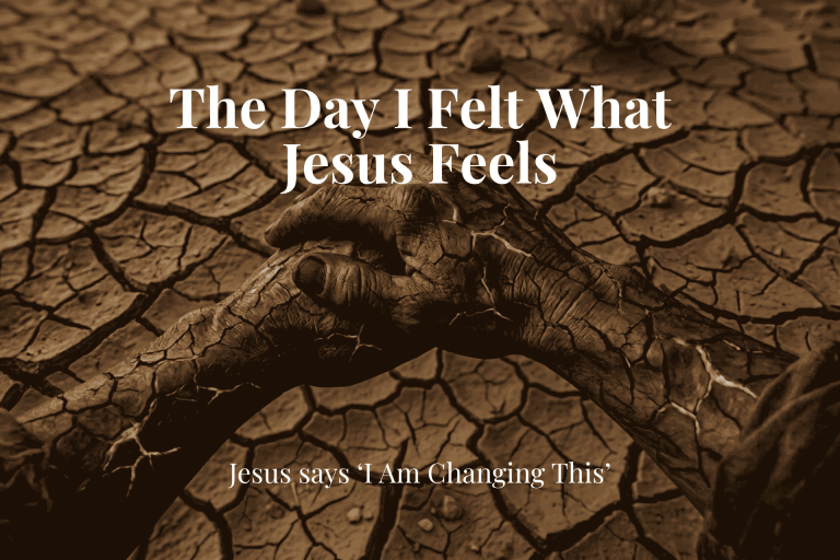 Read more about the article The Day I Felt What Jesus Feels – Where OneBody Came From